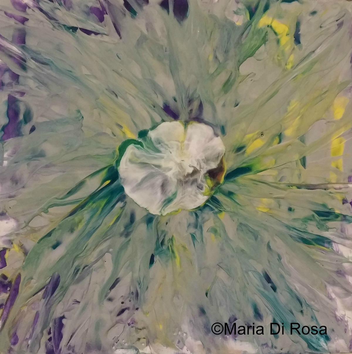 ©Maria-Di-Rosa-encaustic-#135-Bloom-2015.jpg