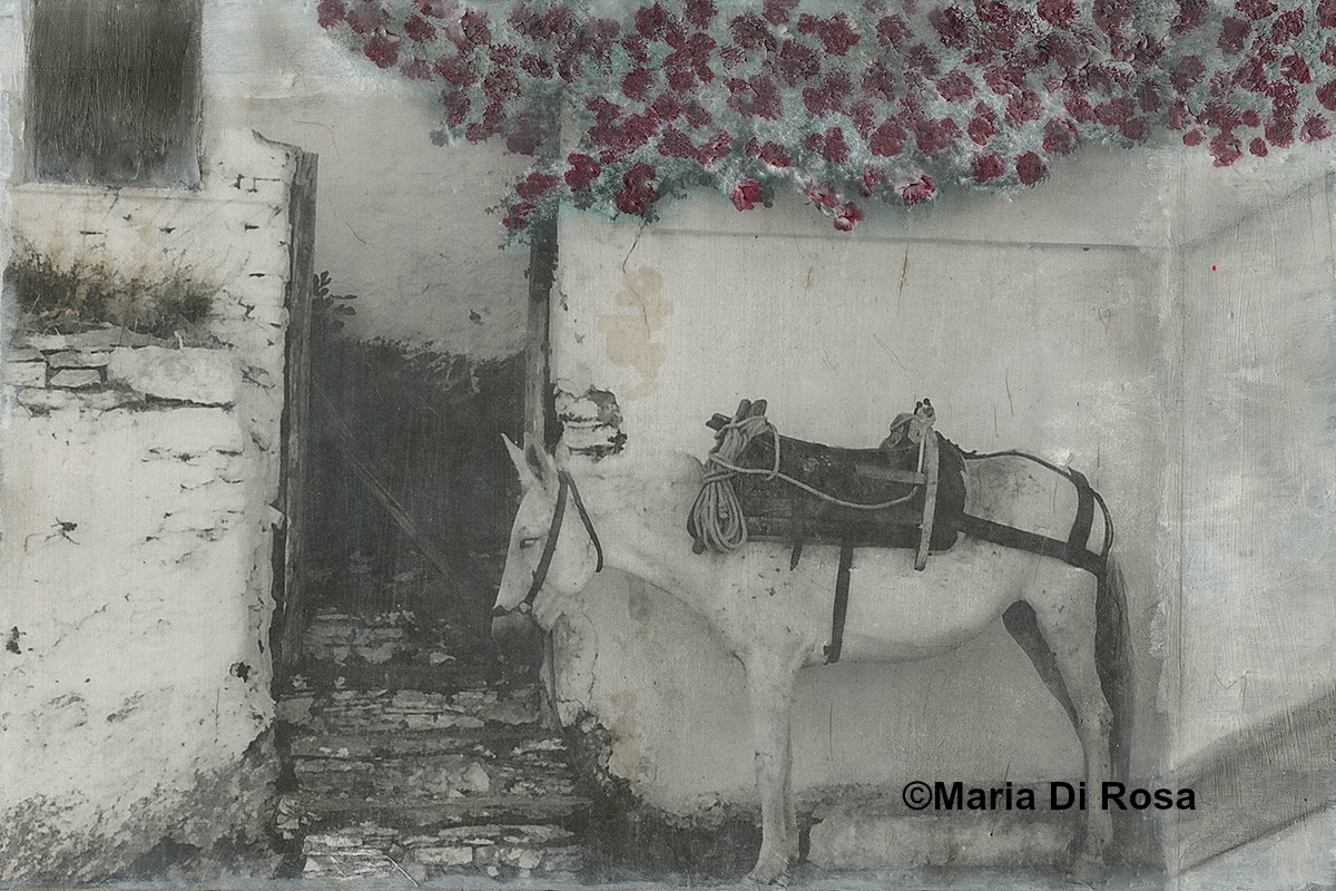 ©Maria-Di-Rosa-encaustic-MM-#166-Walkway-GreeceIII.jpg